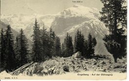 Engelberg - auf der Obhaagalp 1908