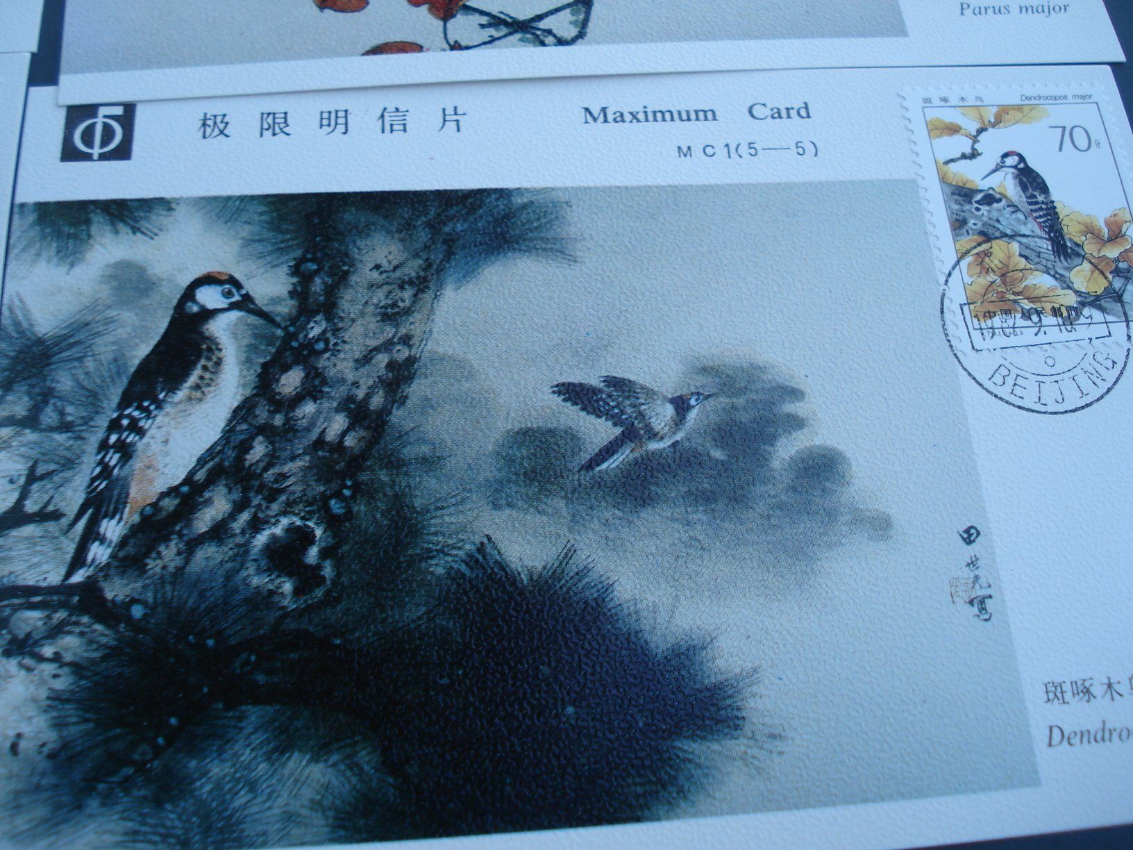 Tutti i francobolli: Satz Maximumkarten China, 1989. Vögel – Usato da Niederwil AG venduto da morostahu 3