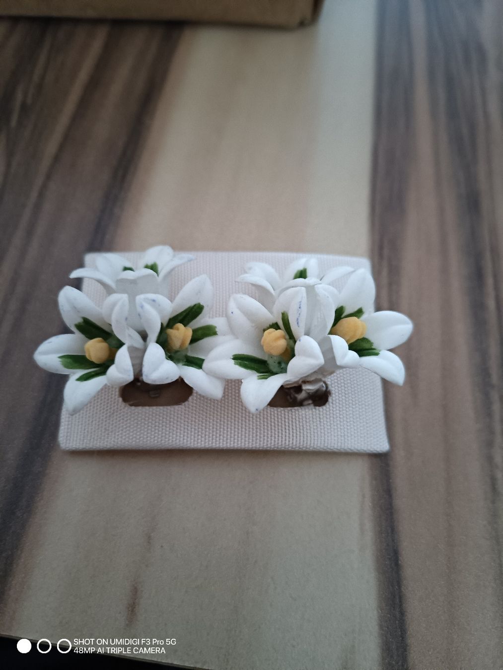 Placchette & Badge: Badge Anstecker Edelweiss – Nuovo e nell'imballaggio originale da Aarwangen venduto da to-hirschi