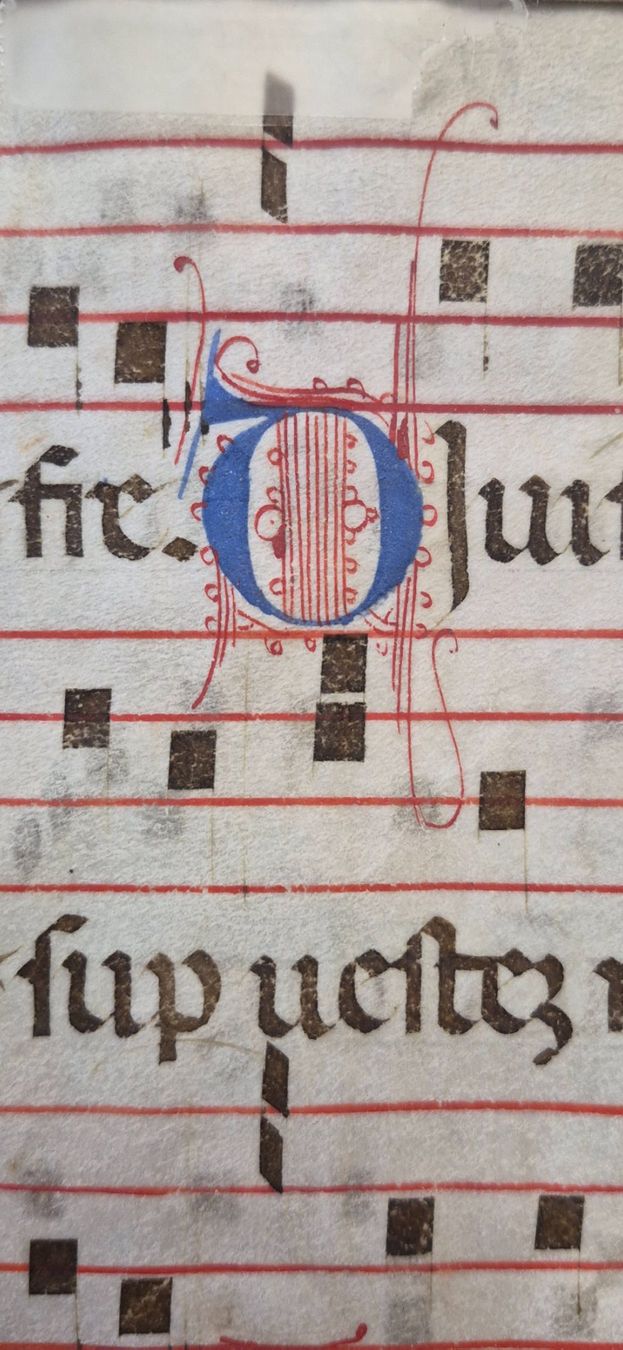 Bücher: Antiphonarblatt Antik – Gebraucht aus Degersheim von Tosam_Degersheim 5