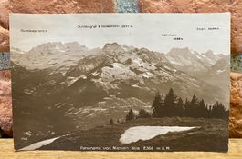 Panorama vom Niesen aus - Berner Oberland
