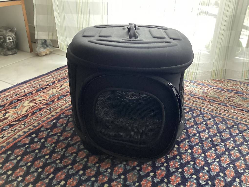 Gabbie, trasporto & Sicurezza: Hundebox – Usato da Küttigen venduto da Zorro1 1