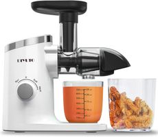 DIYUTO Entsafter Slow Juicer - Top Zustand, wenig benutzt!
