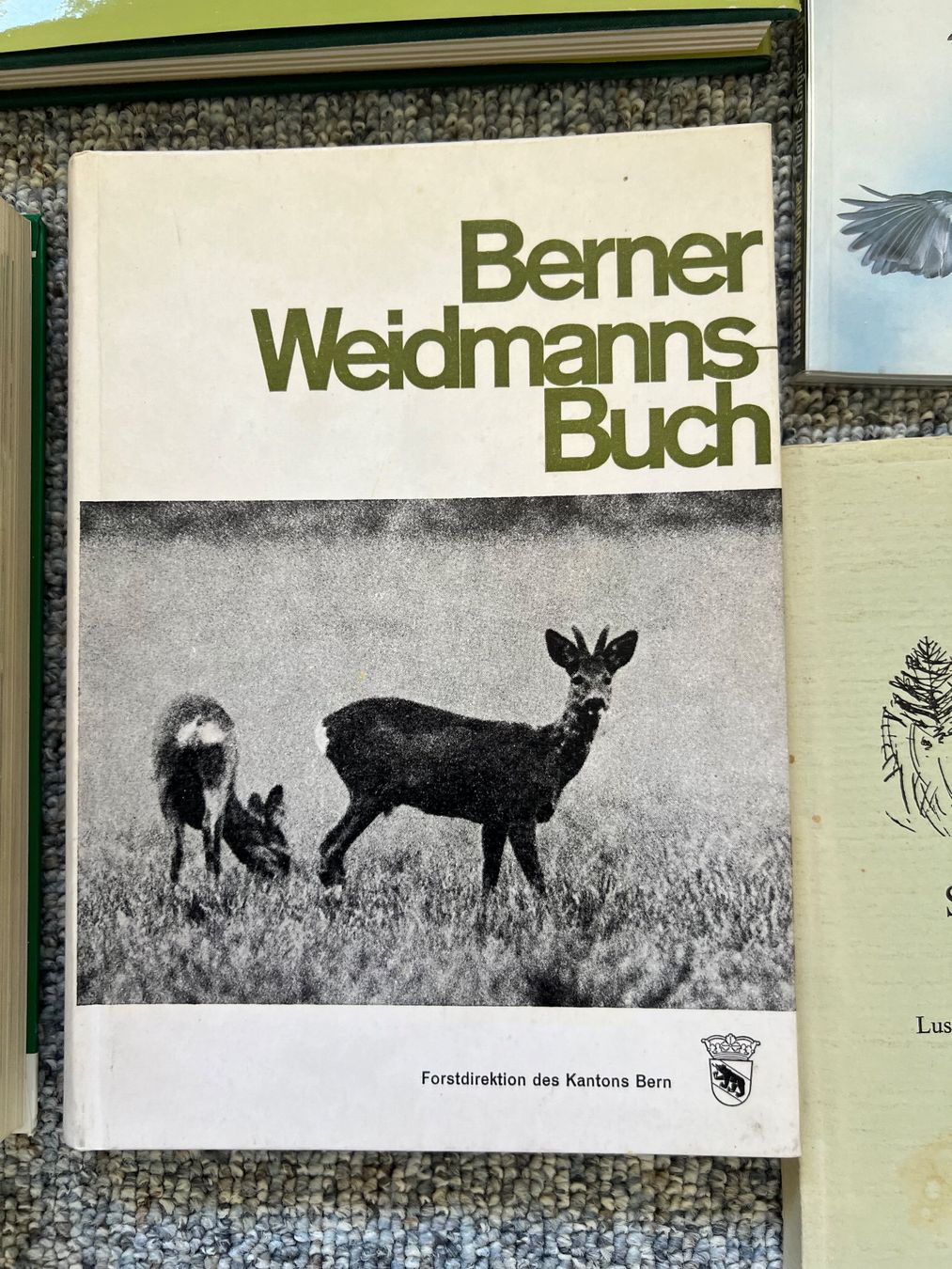 Libri: Bücher / Natur / Tiere / Jagd – Usato da aarwangen venduto da Butzi99 6
