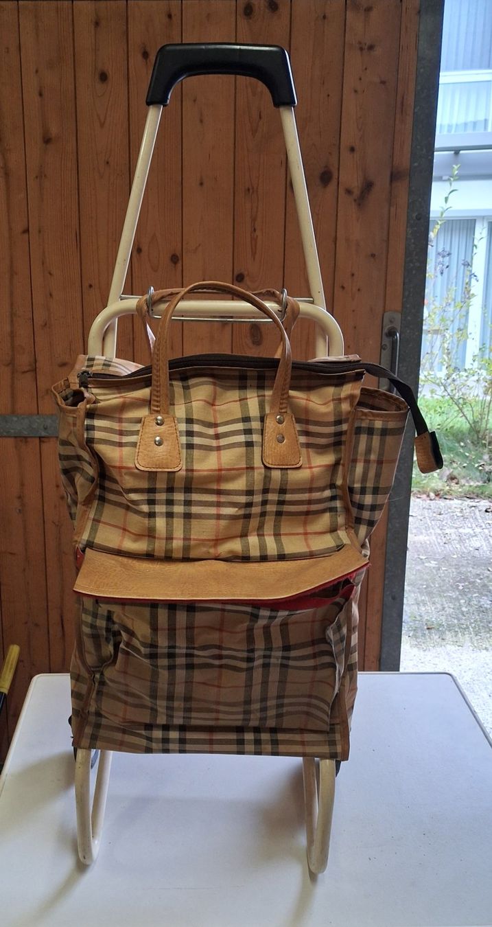 Altro per la casa: Einkaufswagen / Trolley – Usato da Tägerig venduto da rob_psv5