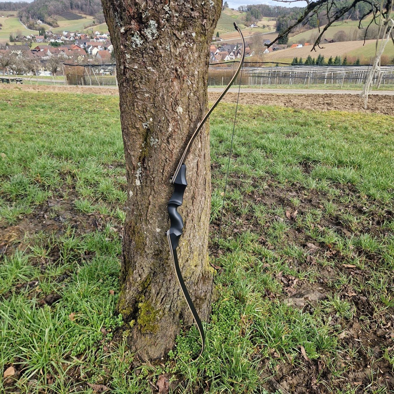 Tiro con l'arco: Bogen Pfeilbogen 50lbs – Nuovo e nell'imballaggio originale da Dorf venduto da Messer-Schweiz 1
