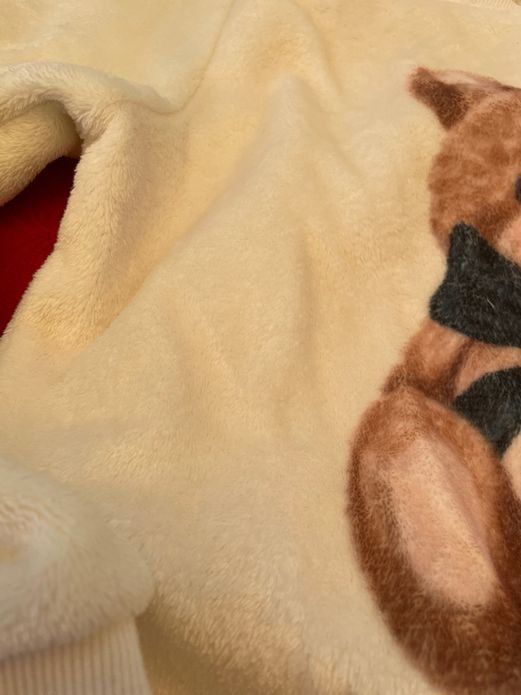 Maglioni & Felpe: Mädchen Plüsch Pullover mit Teddy Bär 134/140 – Nuovo (secondo la descrizione) da Bergdietikon venduto da antovale 1