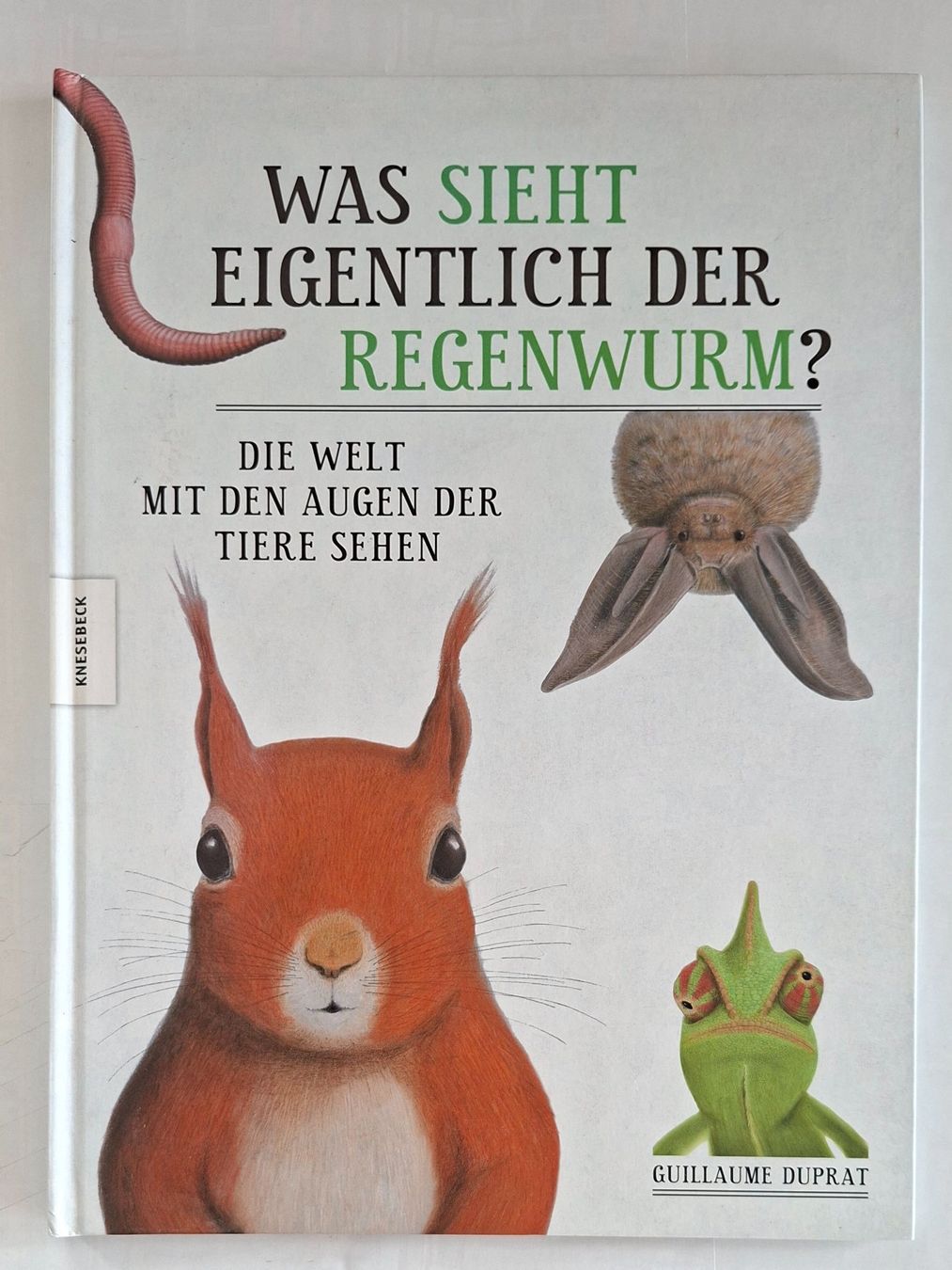 Libri: Kinderbuch: Was sieht eigentlich der Regenwurm? Top! – Usato da Opfikon venduto da Diversamente