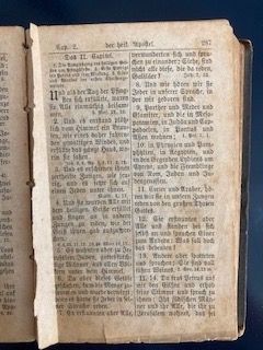 Documenti: Das neue Testament (Druck 1885) – Usato da Schaffhausen venduto da Ronchetto 6