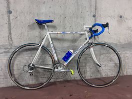 Vintage Rennvelo Pinarello Vuelta (NOS)