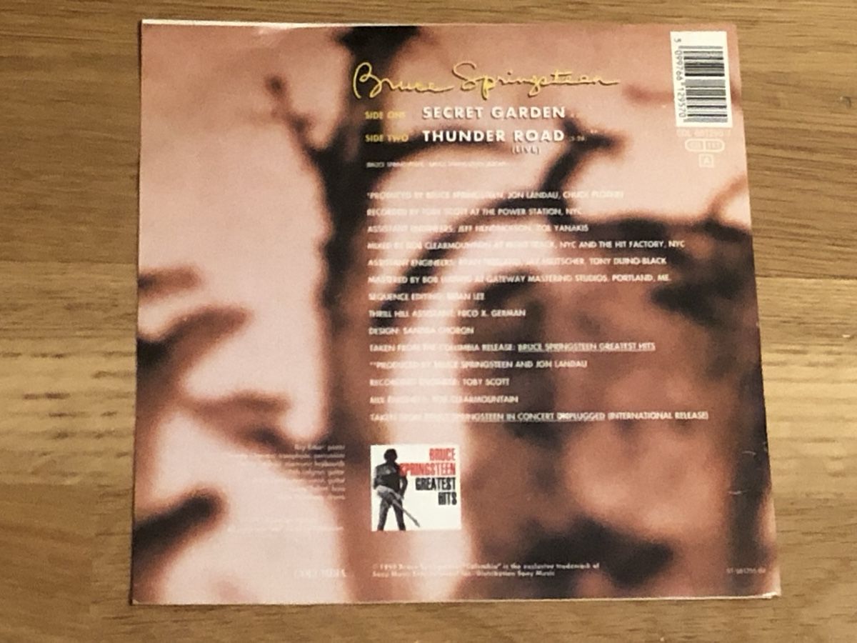 Dischi in vinile: Bruce Springsteen. 1995. Secret Garden – Usato da Faulensee venduto da Mizuno06 2