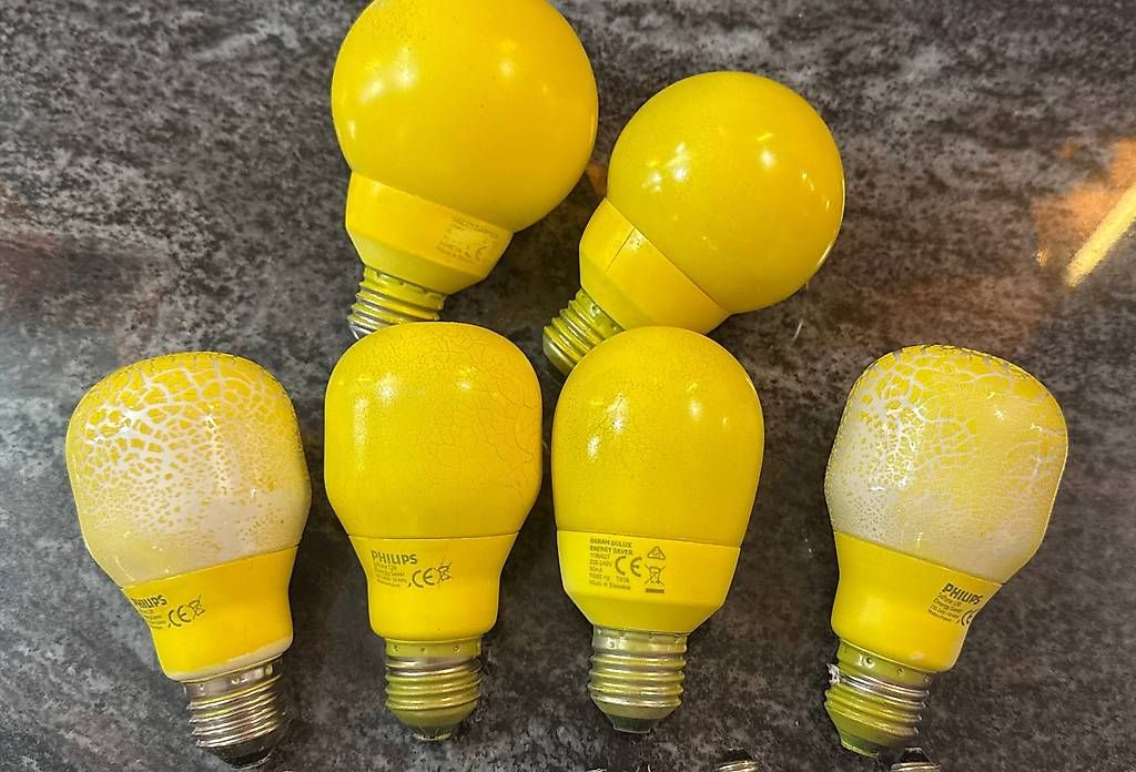 Lampen: 28 Ampoules basses consommation  – Gebraucht aus YVERDON-LES-BAINS von Lazuli 1