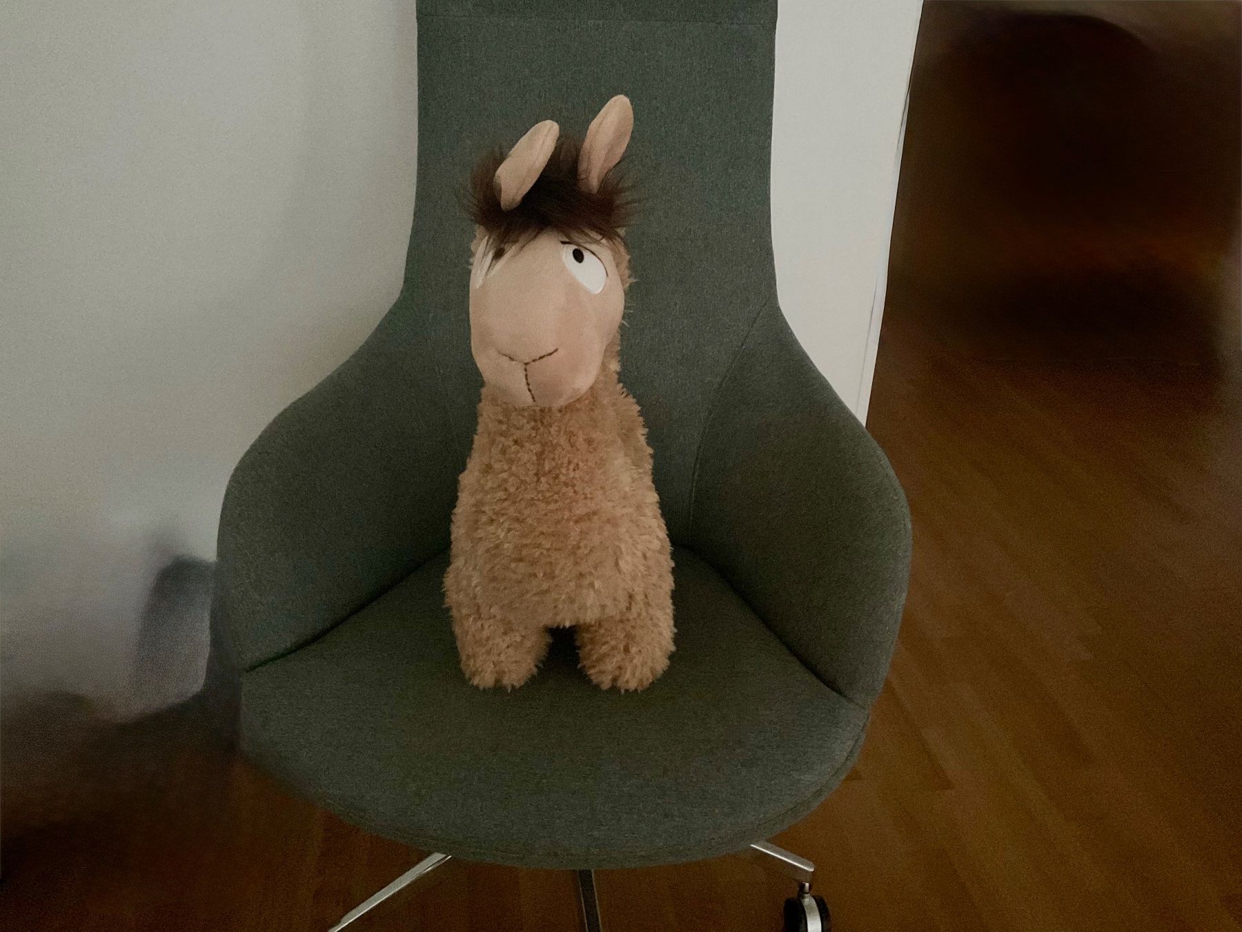 Nici Spielzeuge: Stehendes Kuscheltier Lama NICI – Neu (gemäss Beschreibung) aus Aarau von chi_qnc5