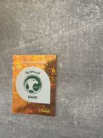 Panini KSA1