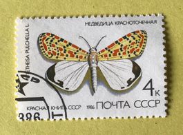 Briefmarken aus Sowjetunion (CCCP) gestempelt Siehe Original