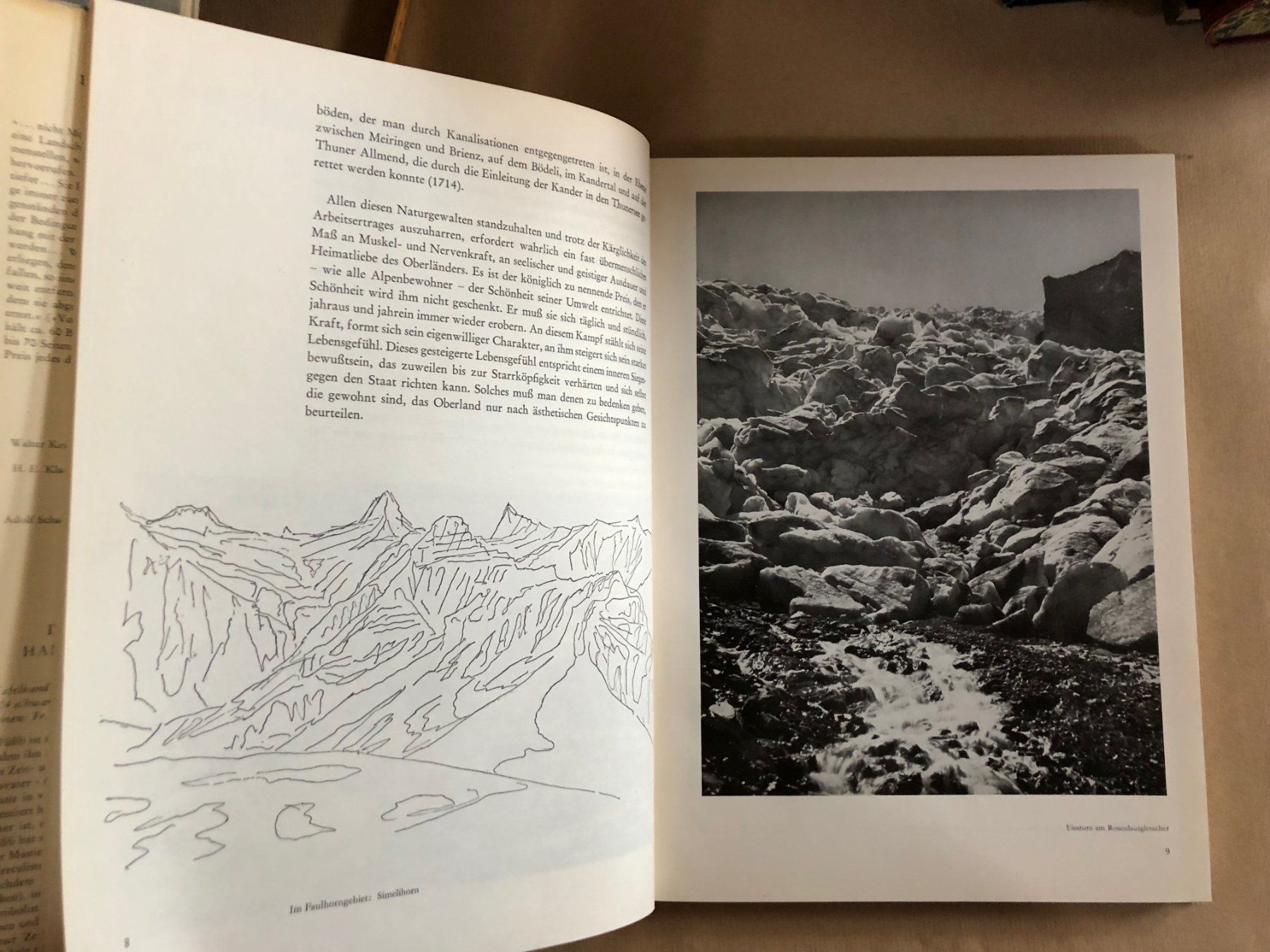 Bücher: Adolf Schaer-Ris: Das Berner Oberland. – Gebraucht aus Zürich von allp 4