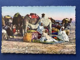 Alte Ansichtskarte Tunisien Beja Kamele 5. September 1953