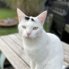 Profile image of Sideria