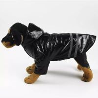 Regenmantel für Hunde - 41cm Rückenlänge (VERSAND möglich!)
