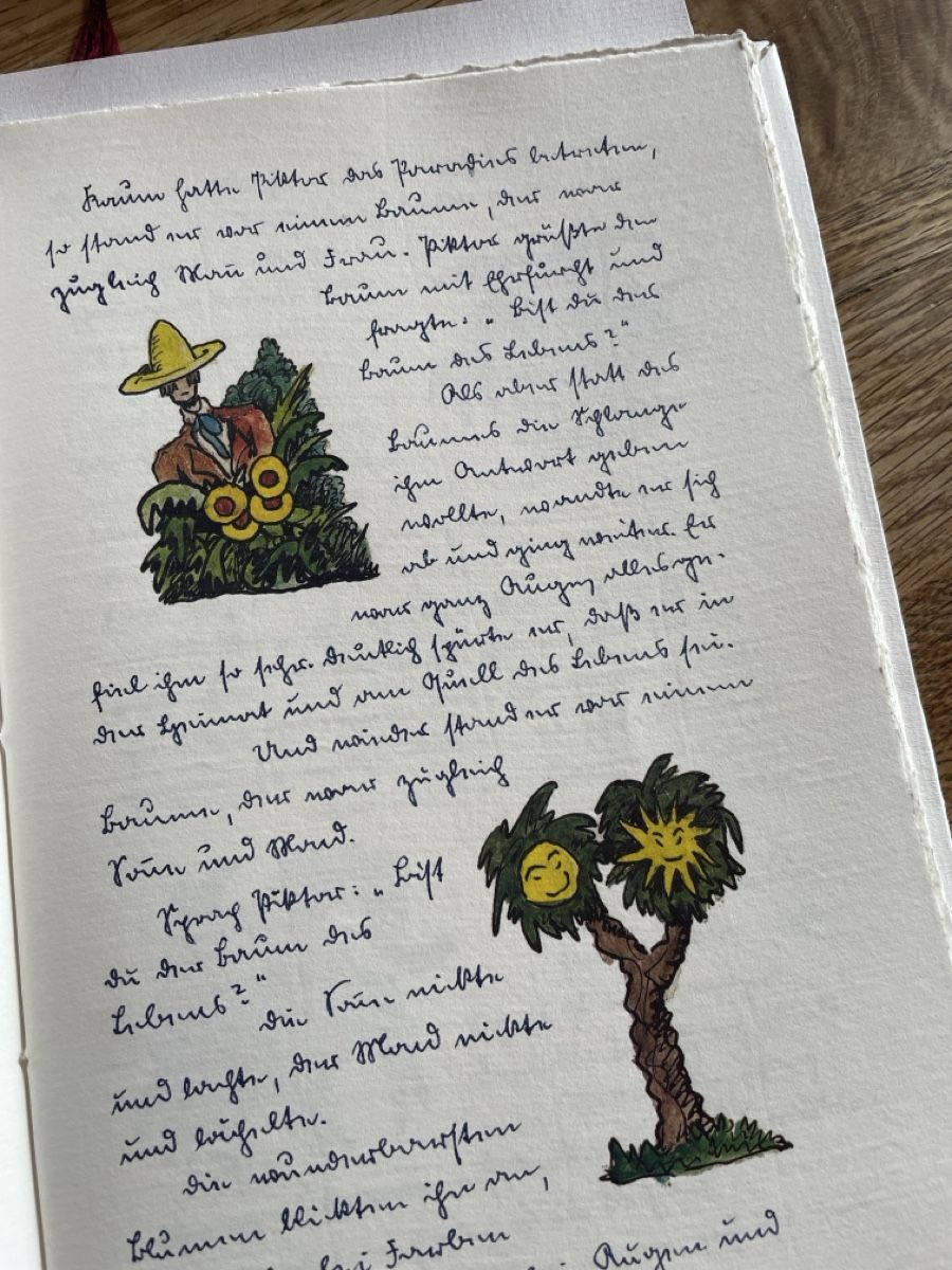 Libri: Hermann Hesse, Piktor’s  Verwandlungen – Usato da Freidorf TG venduto da ibipatria 1