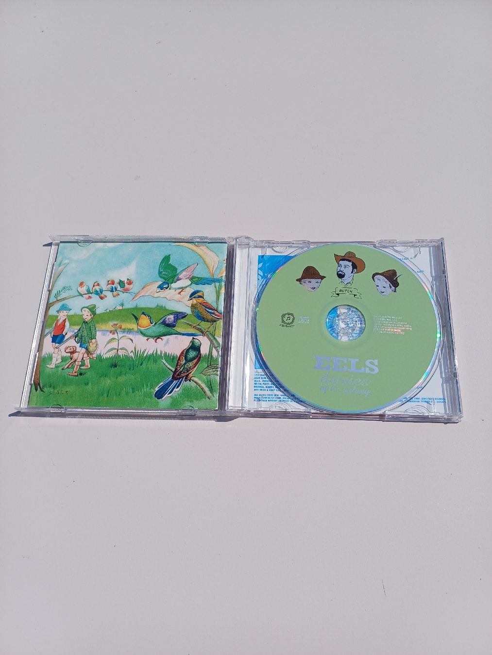CDs: EELS "Daisies of the galaxy" CD – Gebraucht aus Begnins von Drastic-Sound 2