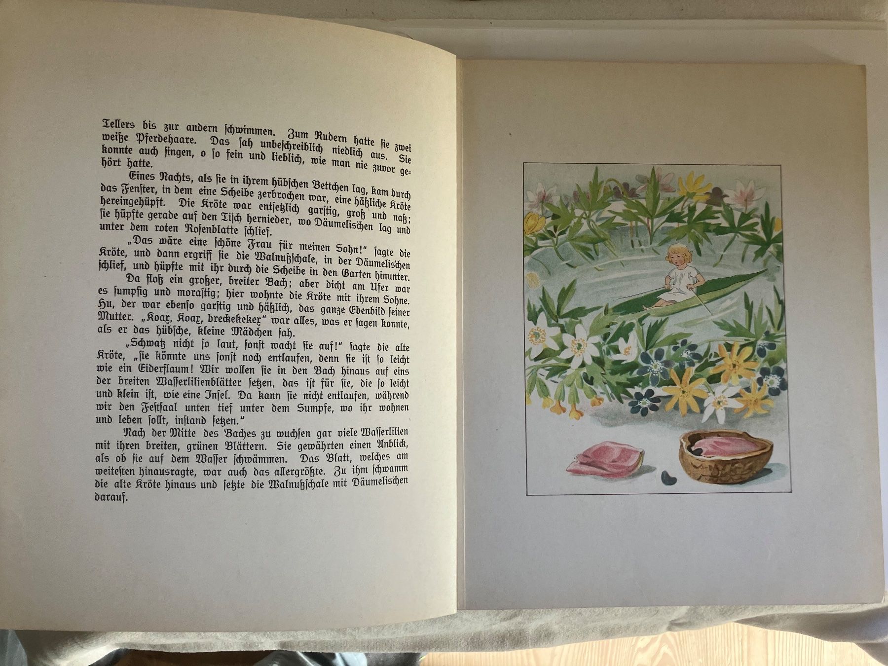 Libri: Däumelis`chen Märchen von Andersen  Bilder von Elsa Beskow – Usato da ZUERICH venduto da Carolus1 3