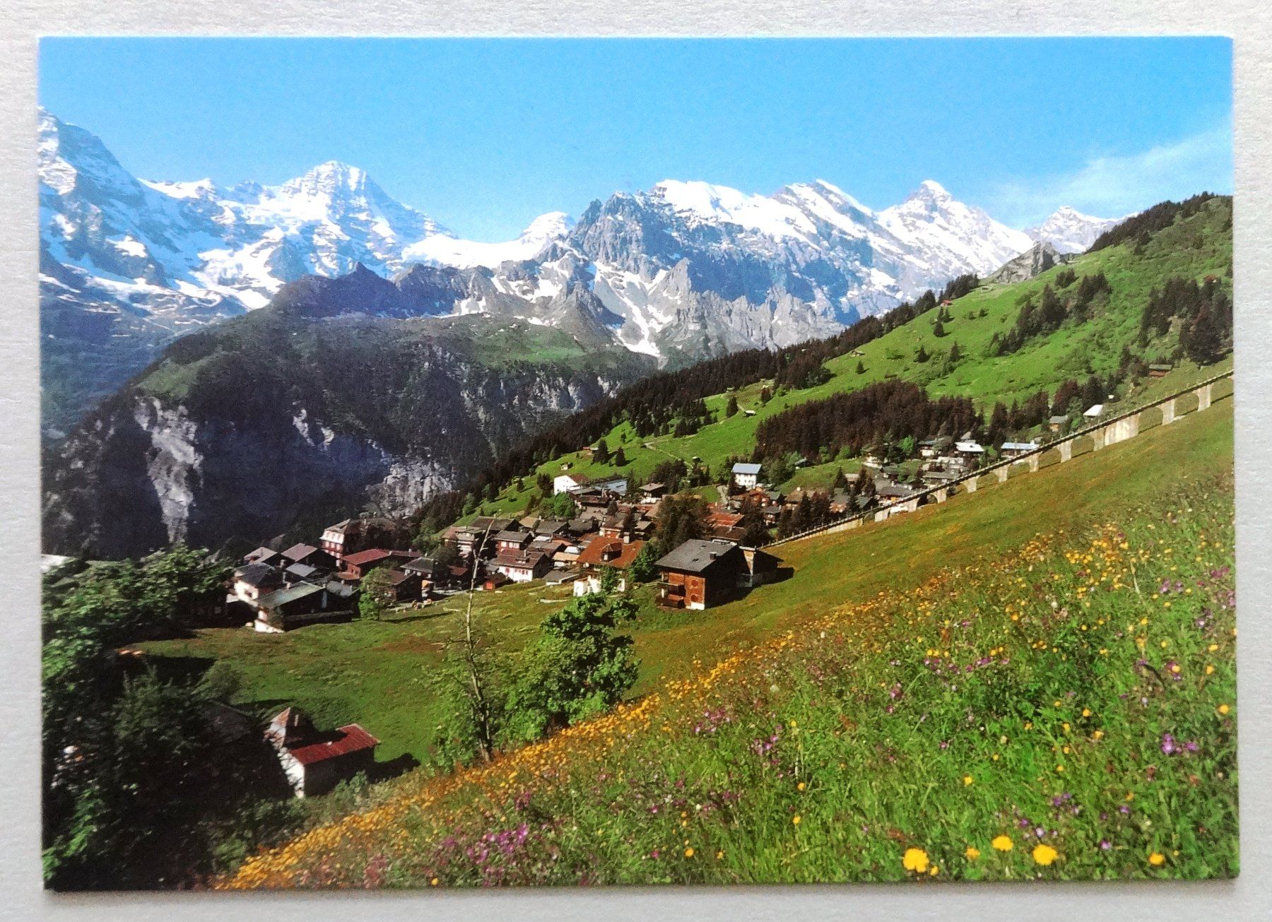 Ansichtskarten: Mürren, B.O. – Gebraucht aus Fétigny von Billy2miny