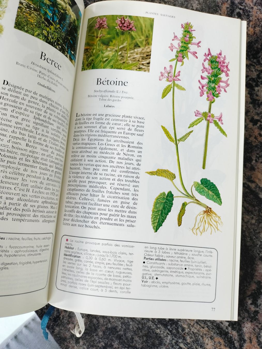 Libri: Secrets et vertus des plantes médicinales – Usato da Cortaillod venduto da rozinna 2