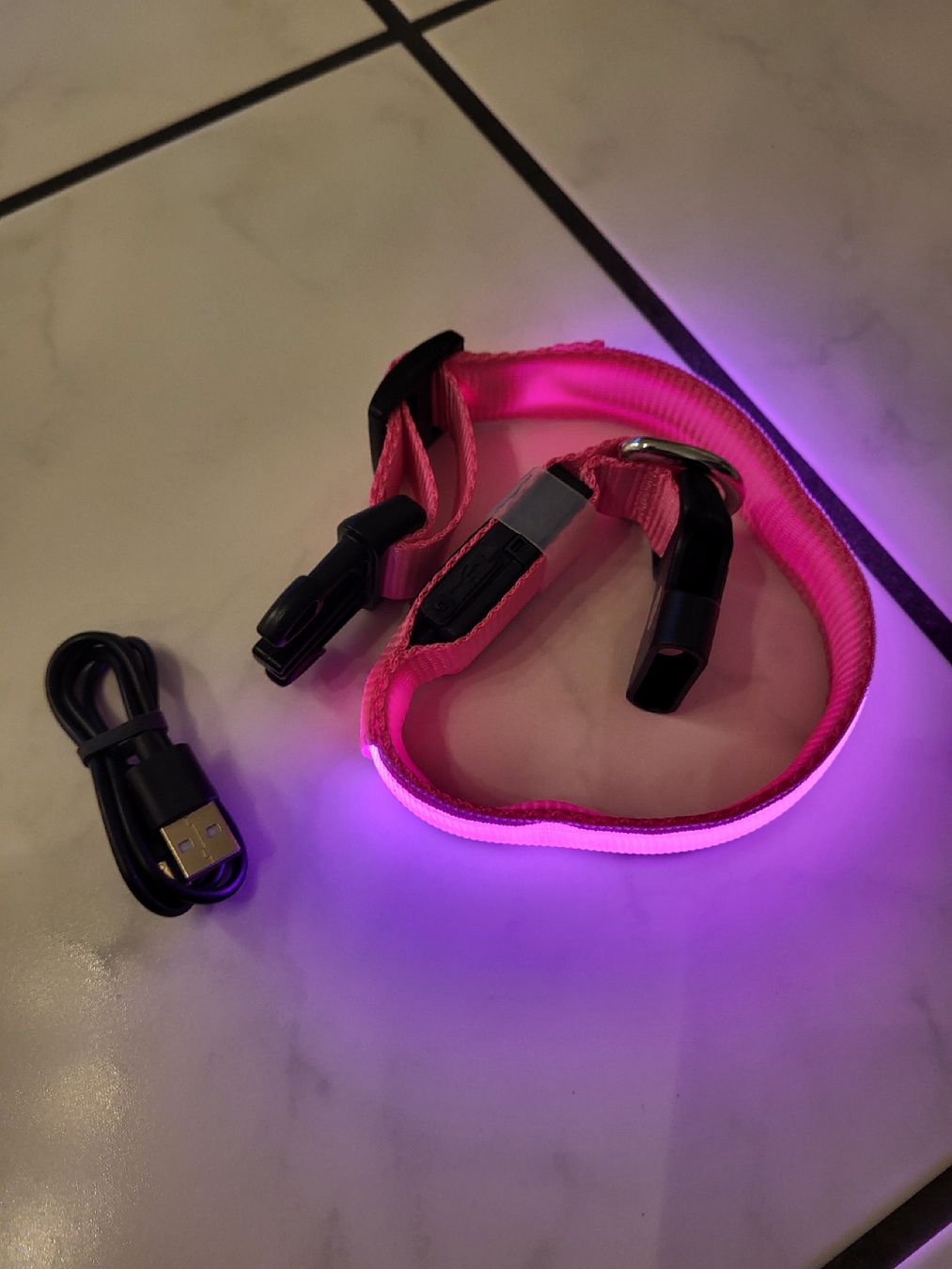 Guinzagli & Collari: LED Hundehalsband Masbrill – Nuovo (secondo la descrizione) da Felben-Wellhausen venduto da Brummbaer90 2