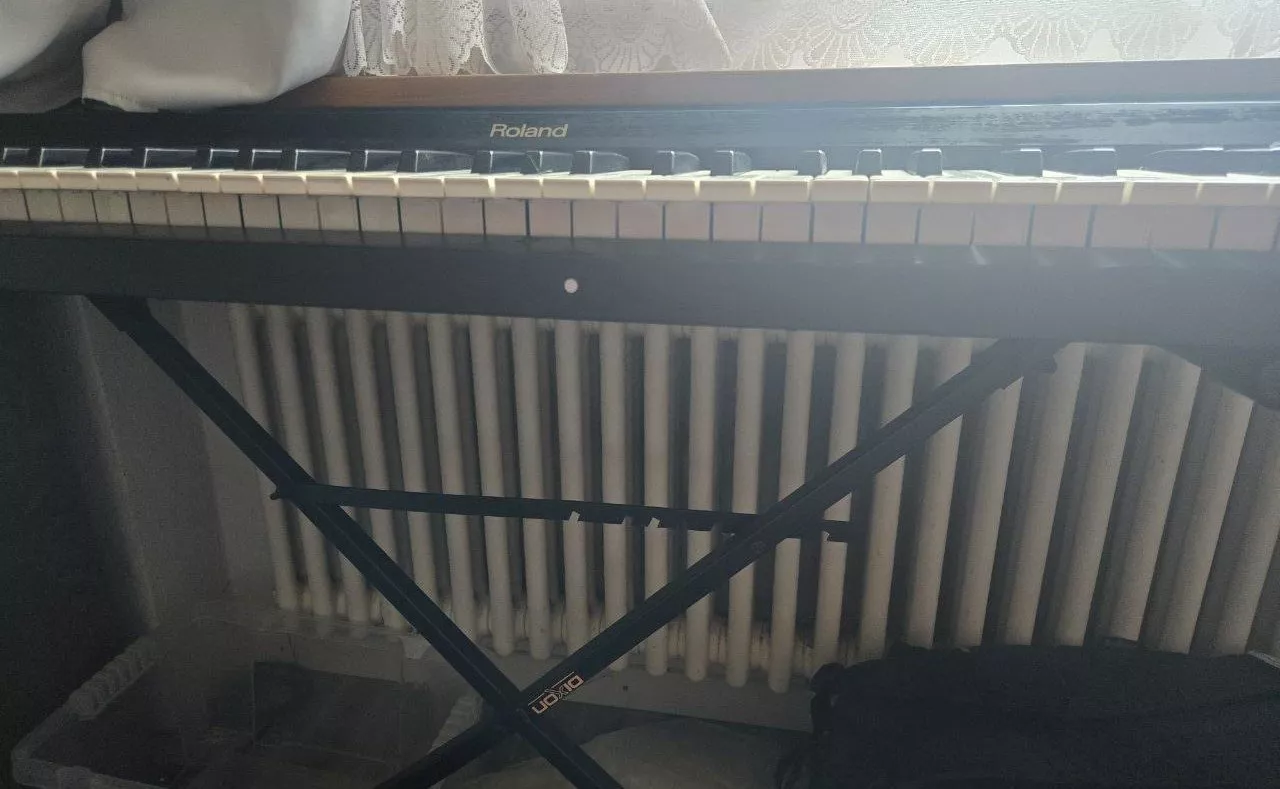 Roland Strumenti musicali: Roland Keyboard KR 55 – Usato da Zetzwil venduto da Stritzi 3