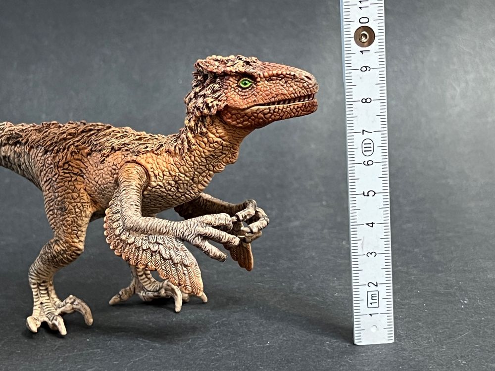 Schleich Velociraptor 42347 Gefiederter Raptor Dinosaurier | Kaufen auf ...