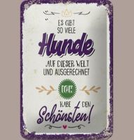 🔥 SCHÖNSTER HUND DER WELT Blechschild 💜 12x18cm OVP🔥