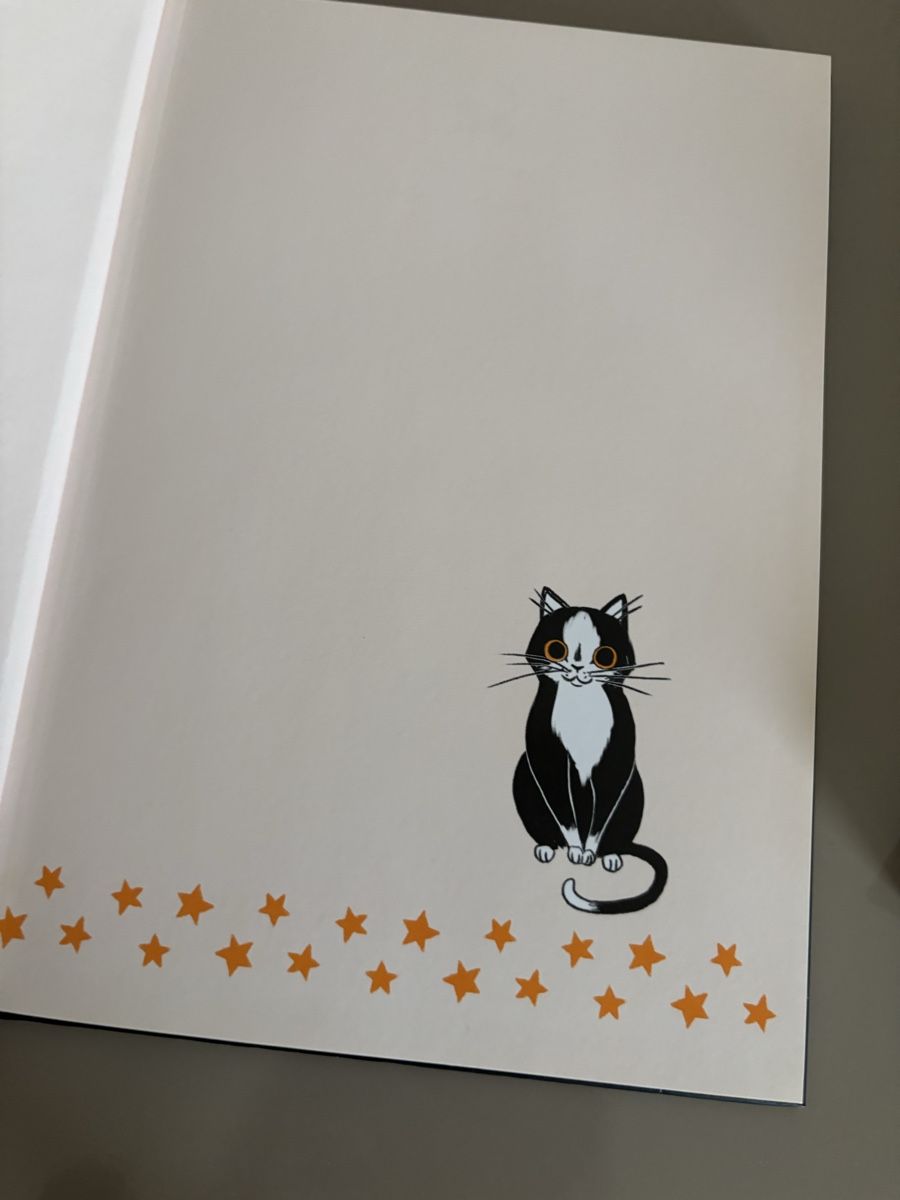 Libri: Kitty Mission im Mondschein Loewe Verlag – Usato da Boniswil venduto da Biancaneve91 2