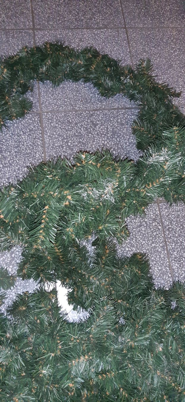 Tutte le decorazioni: Tannengirlanden Deko – Usato da Richterswil venduto da ADIACE010 3