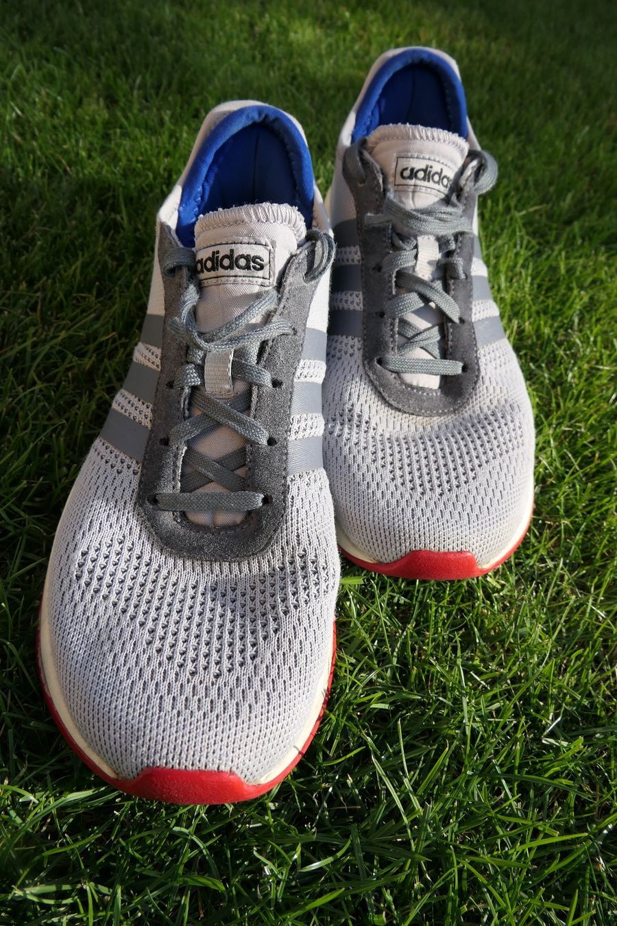 Scarpe da uomo: Adidas Freizeitschuh Gr. 41 – Usato da Lenggenwil venduto da Reto888