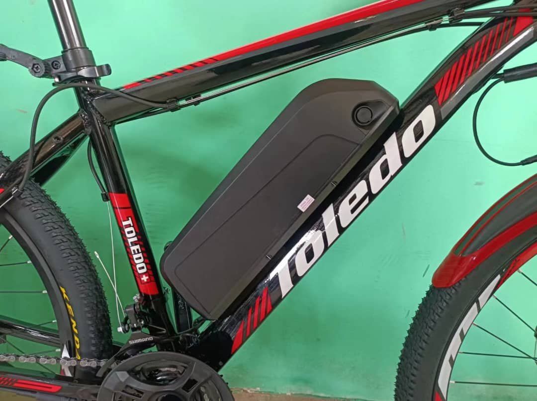 Biciclette: beach cruiser E-Bike – Usato da Bünzen venduto da Turbolino5 7