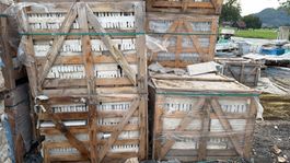 3 Palette ca: 75 m² Verblender Kalk Hell