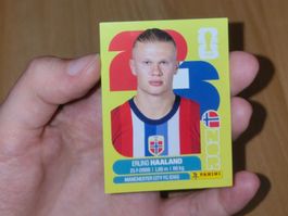 🔥Panini Erling Haaland (Norway) - NOR15
