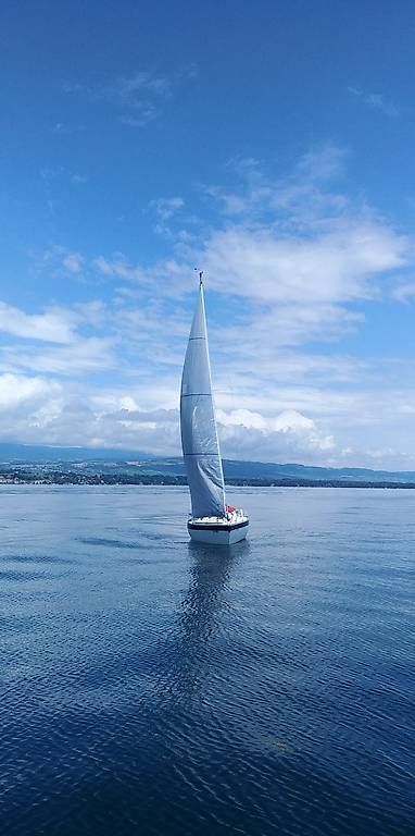 Bateaux: Voilier Verl 790 – D'occasion à Cartigny par guyoche 1
