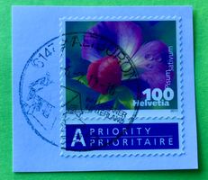 Nr.1377 Dauermarken Gemüseblüten 2011 mit Stempelt Kiefelerb