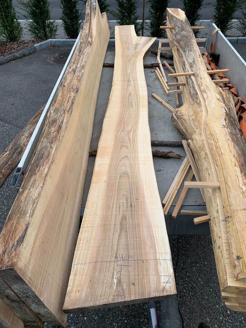 Articoli in legno: Ulmen Bretter – Nuovo (secondo la descrizione) da Lotzwil venduto da gia_bn2w 7