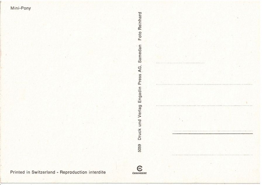 Cartoline postali: Mini-Pony, geschätzt 1970 – Usato da Frauenfeld venduto da POML 1