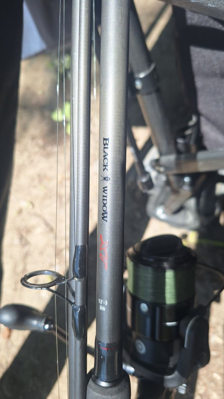 Daiwa Canne da pesca: Daiwa black widow xt 3lb – Usato da Rickenbach SO venduto da hegyc 1