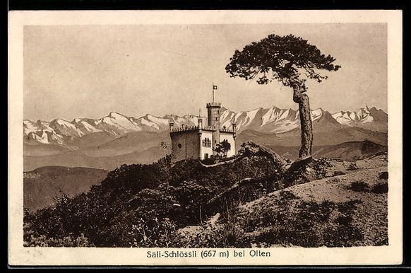 Cartoline postali: AK Olten, Säli-Schlössli – Usato da Berlin venduto da bartko-reher