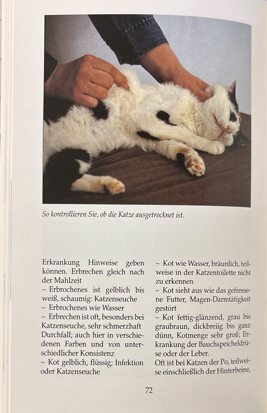 Libri: Erste Hilfe für Katzen – Nuovo (secondo la descrizione) da Sarnen venduto da Livres 7