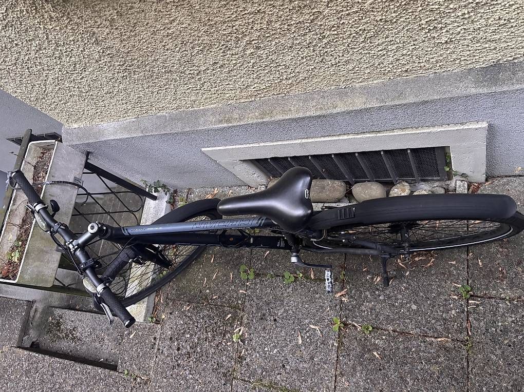 Velos: Cedar Serious Velo – Gebraucht aus Zürich von Buume12 1