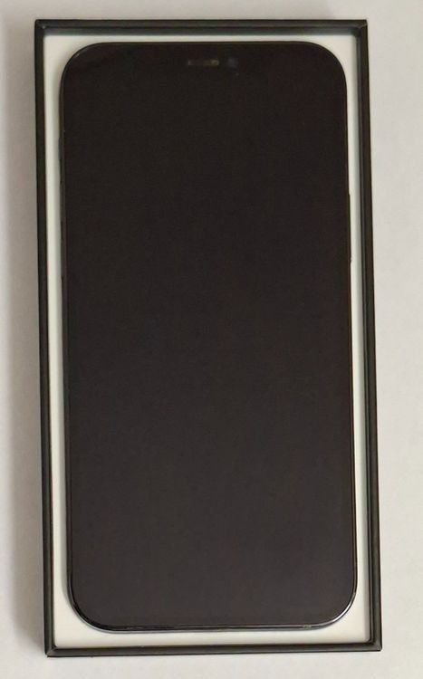 Apple Handys / Smartphones: Apple iPhone 12 Pro 256 Gb – Gebraucht aus Bern von Hurti