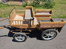 pferdekutsche / Bockwagen für Pony