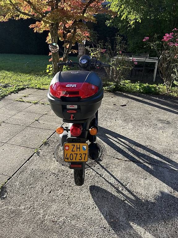 Honda Scooters: Honda SGX Sky 50 – Gebraucht aus Zumikon von pangst 2