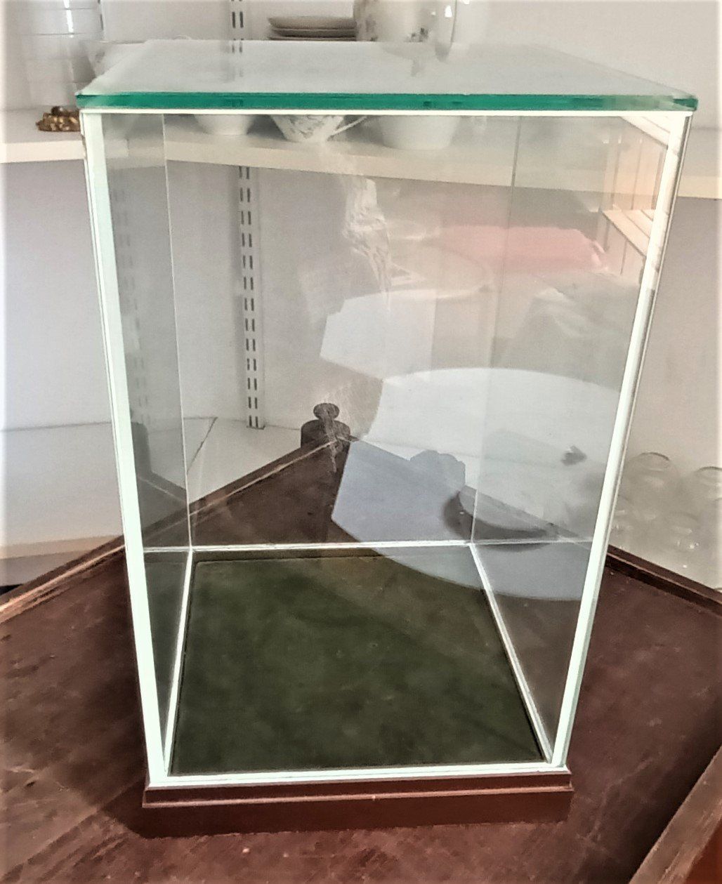 Vetrine: Glasvitrine mit Glockenabdeckung, Sockel Messing. – Usato da Vaduz venduto da Bergtiger 1
